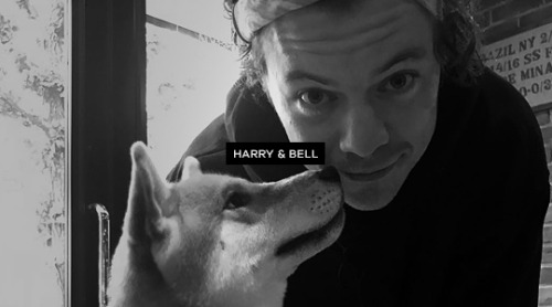 hampsteadharry:Misc Harry things™ 2018