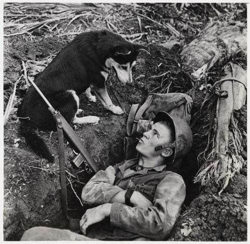 historicaltimes:A U.S. Marine chats with his scouting dog in...