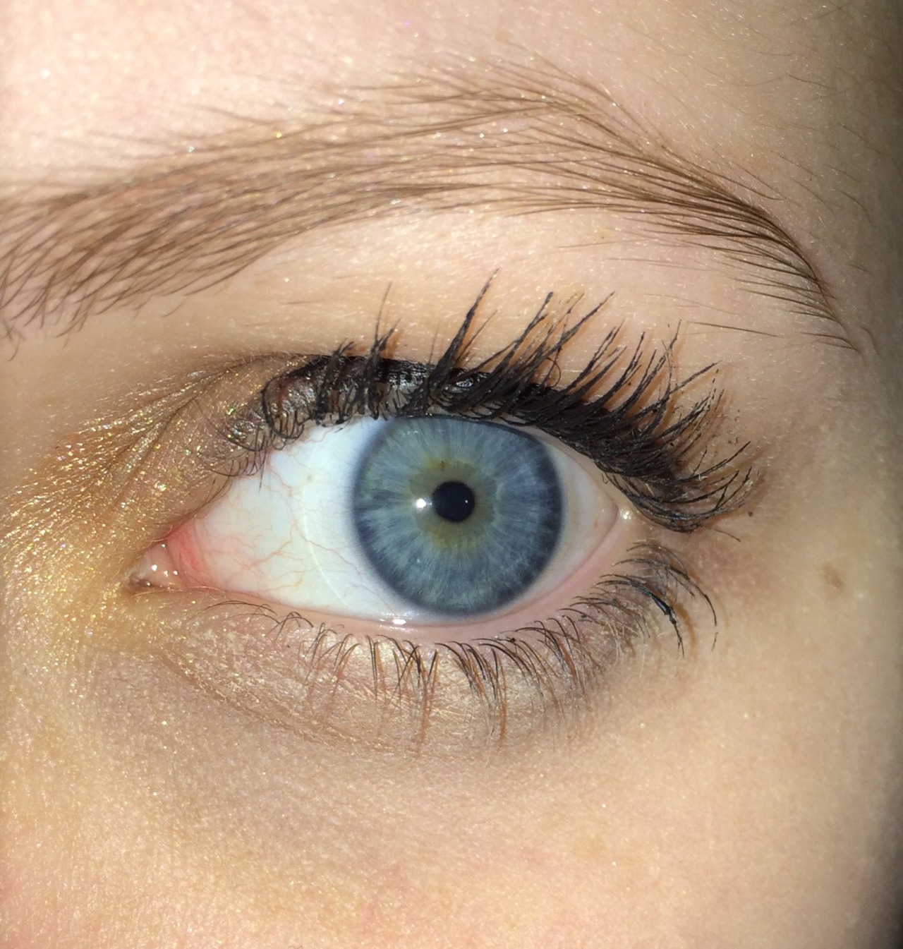 fuck yeah, heterochromia.