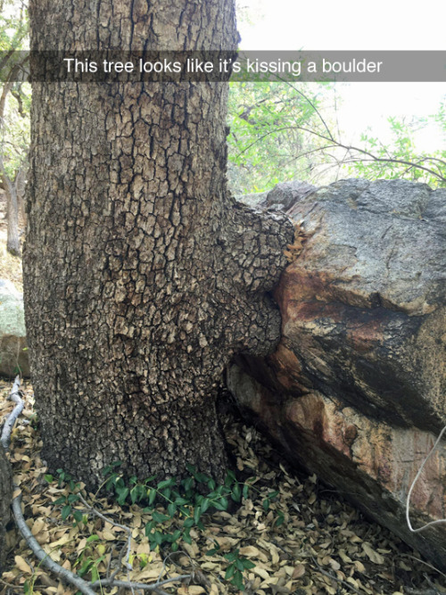 tastefullyoffensive:That’s a nice boulder. (via...