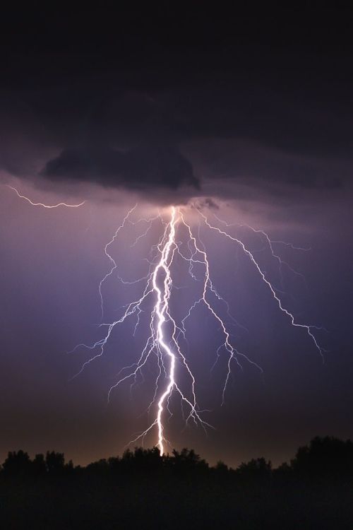 lightning strike scar tumblr
