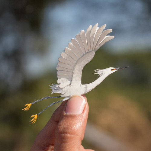 itscolossal:365 Days of Miniature Cut Paper Egrets, Sparrows,...