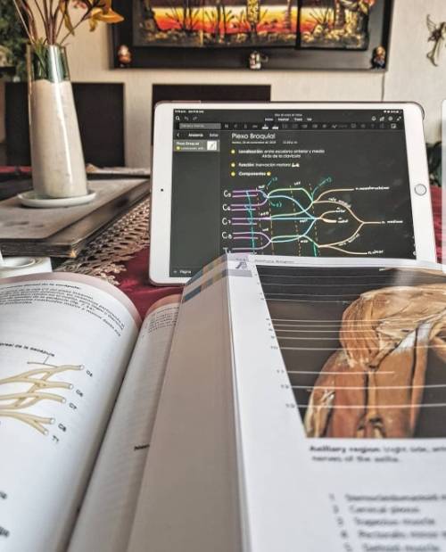 mx-studyblr-stuff