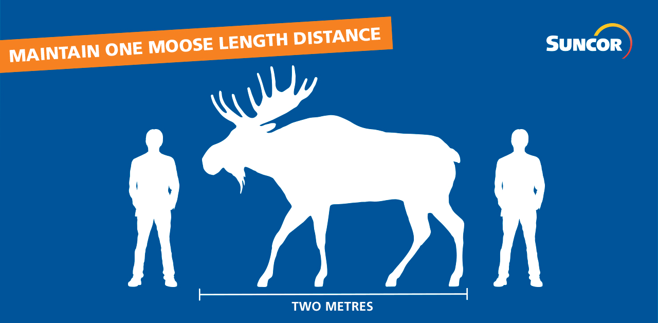 Suncor - One ‘moose’ length, eh? Physical distancing…sounds...