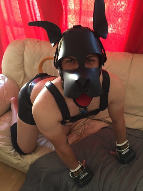 pupfidget1991:Pupping out :)