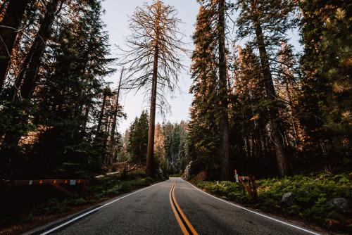 jasonincalifornia:Summer Road Trips through the...