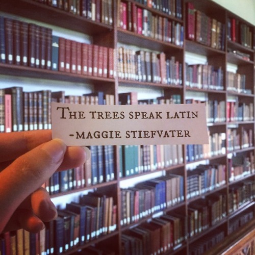 gladstoneslibrary:“The Trees Speak Latin” - Maggie Stiefvater