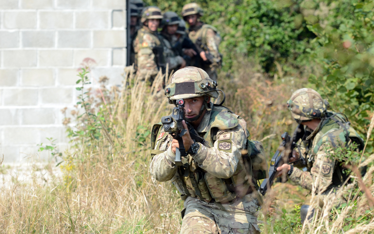 Military Armament | Montenegrin Army soldiers from the 1st Infantry...