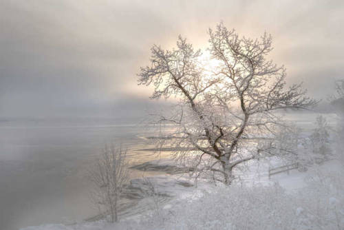 atraversso:Flawless Winter (photoset: by Jørn Allan...