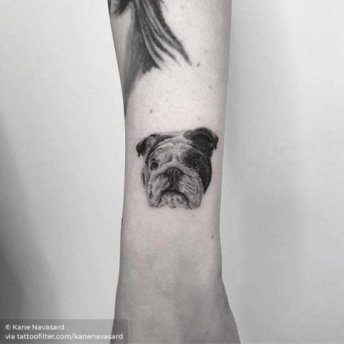 By Kane Navasard, done in Los Angeles. http://ttoo.co/p/210406 kanenavasard;small;pet;dog;patriotic;single needle;animal;tiny;bulldog;ifttt;little;wrist;portrait;england