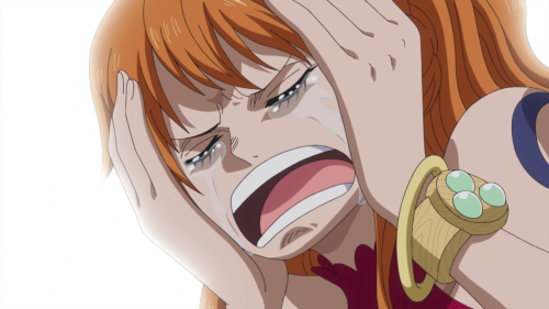 dekkenminus:Nami in episode 853.