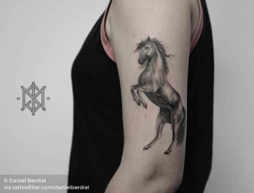 By Daniel Berdiel, done at Isometric Gallery Tattoo, Zaragoza.... black and grey;danielberdiel;animal;horse;facebook;twitter;medium size;upper arm