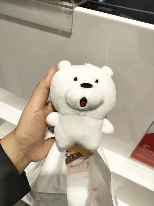 miniso webarebear