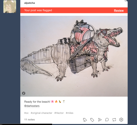 Tumblr's wonky algorithm is flagging innocent posts as adult ...