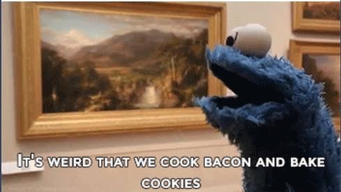 i-have-no-gender-only-rage:the deep thoughts of cookie monster 