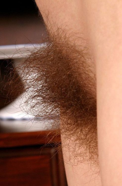 my favourite hairy muffs