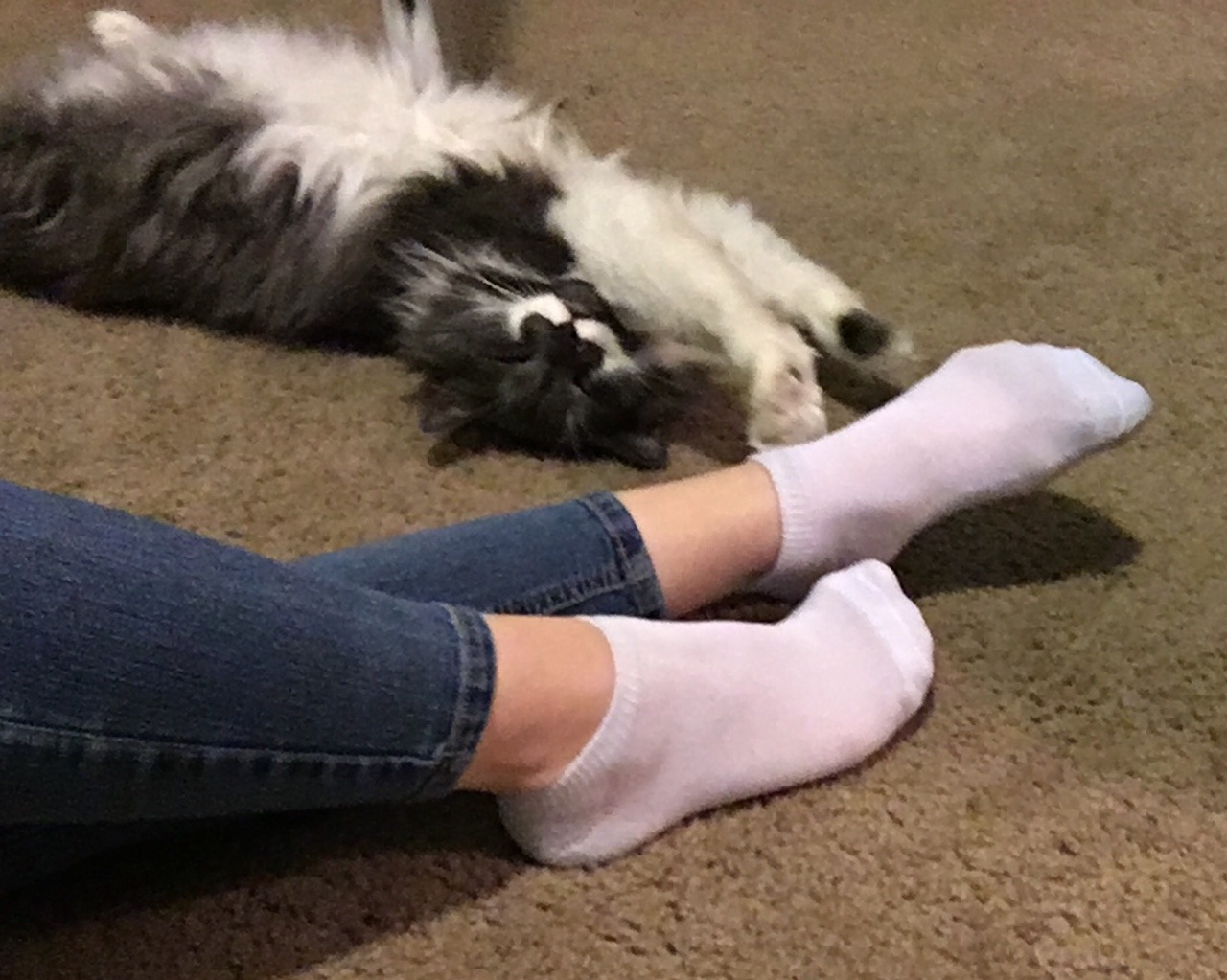 Tiny Cute Feet Socks