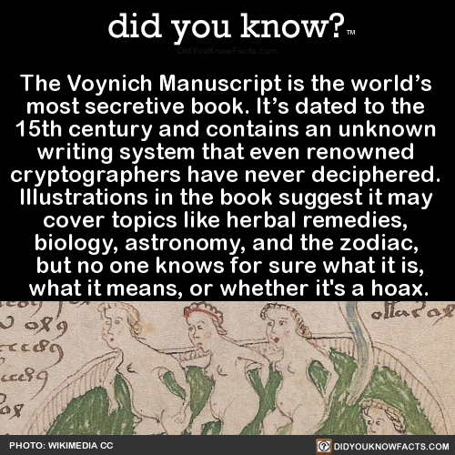 the-voynich-manuscript-is-the-worlds-most