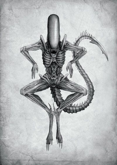 Alien Fanart Tumblr - alien xenomorph drawing