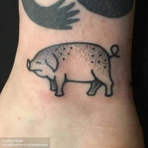 Tattoo tagged with: adamsage, small, good luck, animal, pig, ankle, hand  poked, facebook, twitter, other, illustrative 