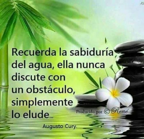 Pensamientos Positivos Imagenes Y Frases