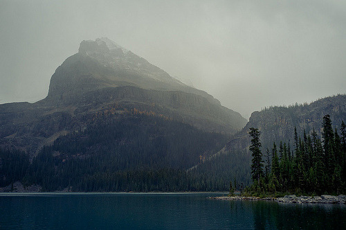 givncvrlos:Lake O’Hara, Canadaby jvdmeij