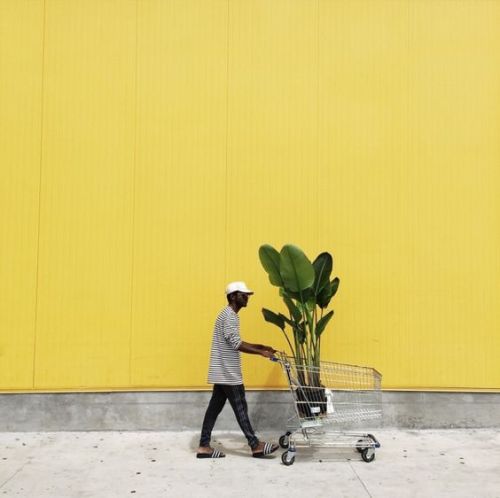 etudiegogh:a yellow moodboard for world mental health day...