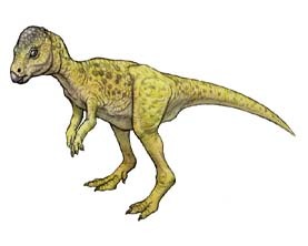 Image result for Micropachycephalosaurus