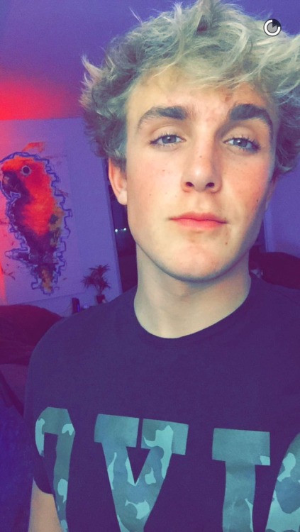 Jake Paul Pictures