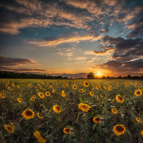 jswanstromphotography:Spätersommer by Christian Heller Art...