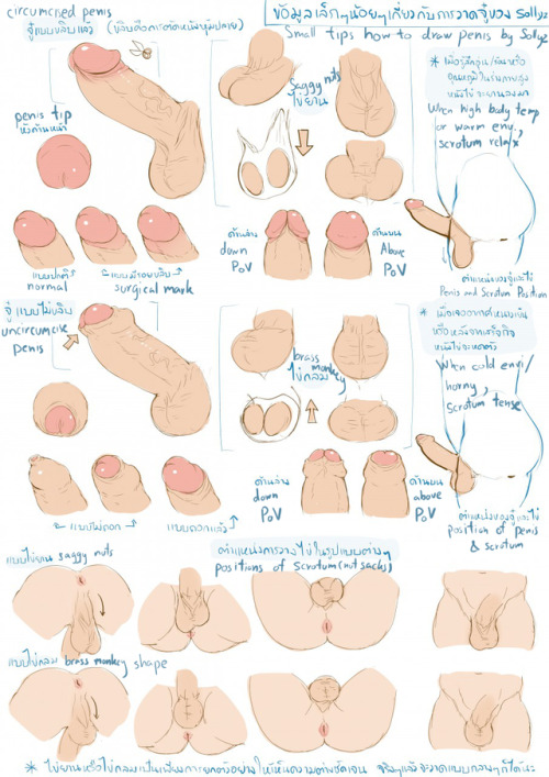 sollyzsundyz:How to draw penis-chan x3 sollyz version.sorry...