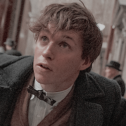 icons & headers — Fantastic Beasts © mytomholland