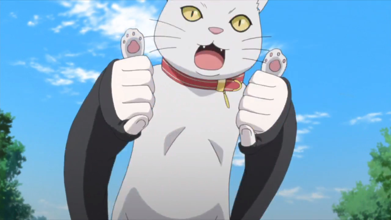 Izuno Wasabi — Mitsuki with this cat is softer than any other...