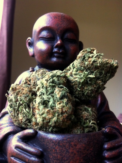 Buda Buds