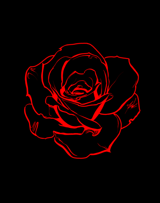 Red rose aesthetic dark HD black