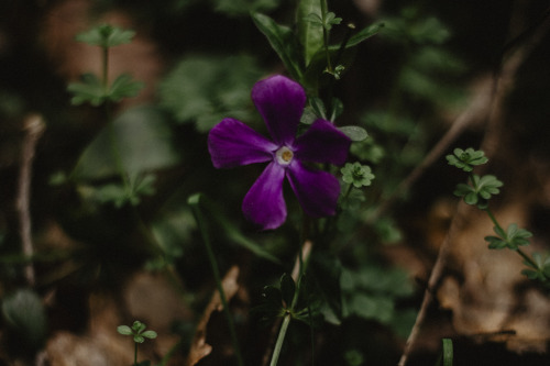 federicagiordanophotography