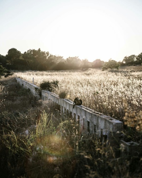 oldfarmhouse:Story- Elizabeth KirbyThe sun has set on our...