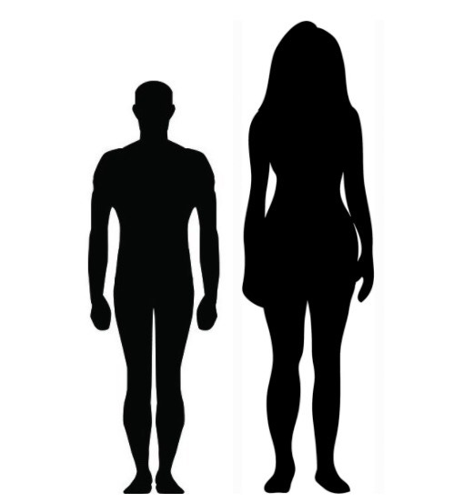 height comparison on Tumblr