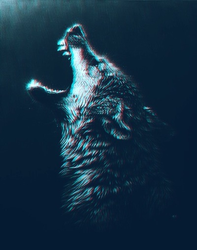 Bluesky Wolf Tumblr