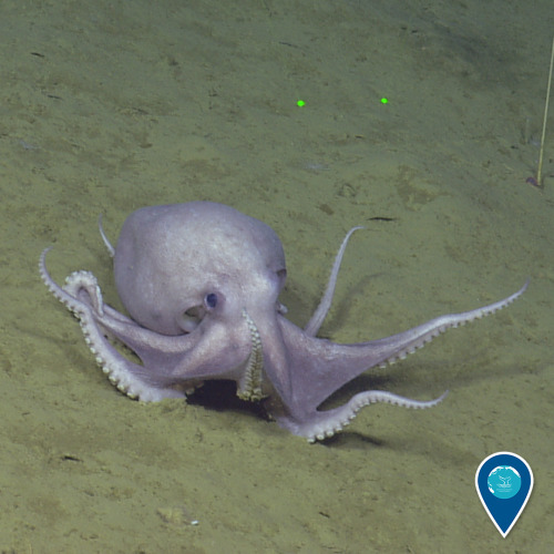noaasanctuaries