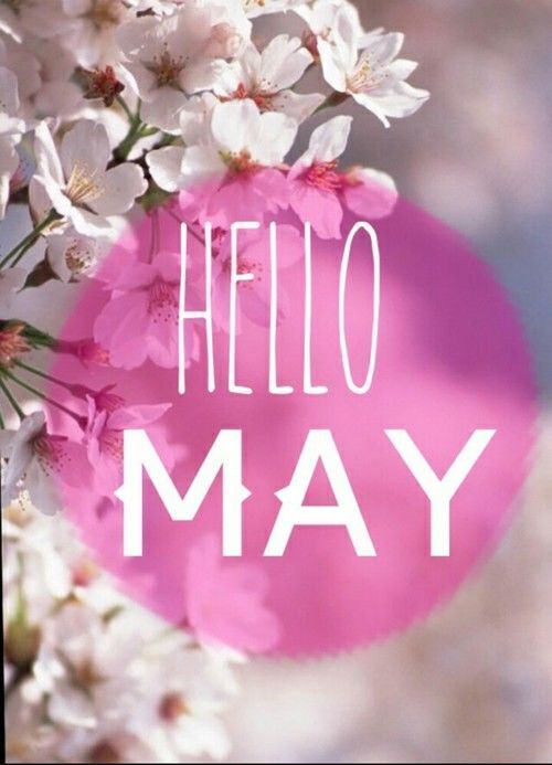 welcome may on Tumblr