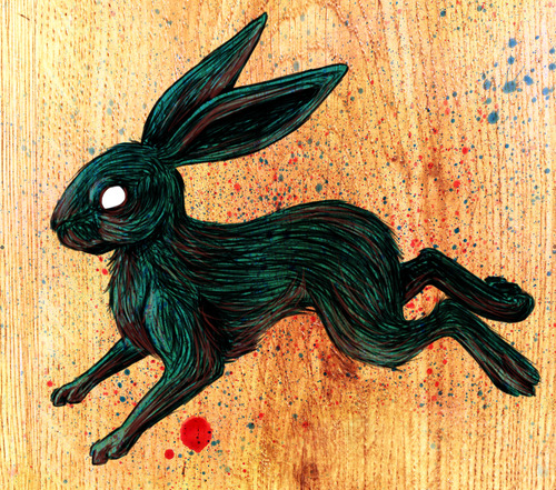 black rabbit on Tumblr