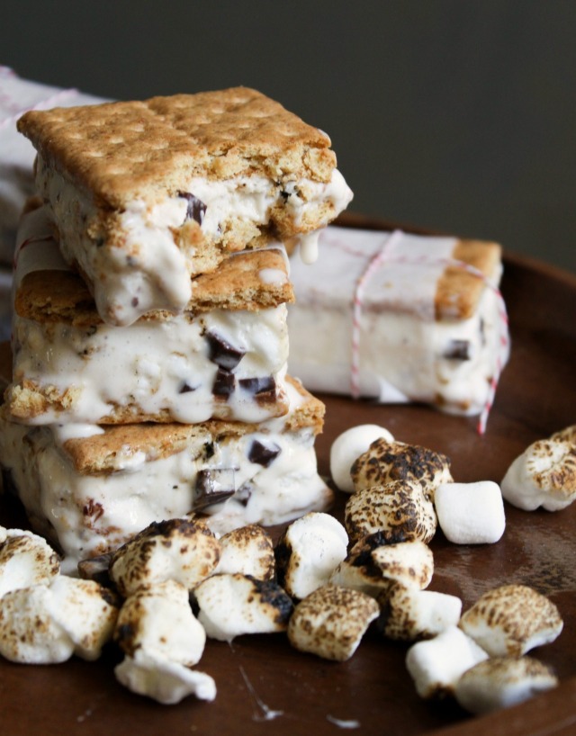 Food Porn Smores Ice Cream Sandwic