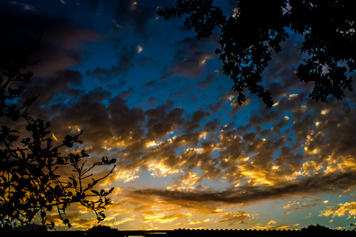 etherealphoto:Golden Strands (Australia) by Me