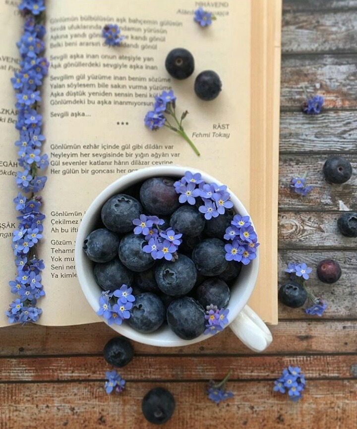 40+ Most Popular Tumblr Aesthetic Blueberries Photos