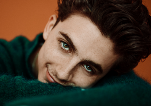 henryscavills:TIMOTHÉE CHALAMETphotographed by Austin Hargrave...