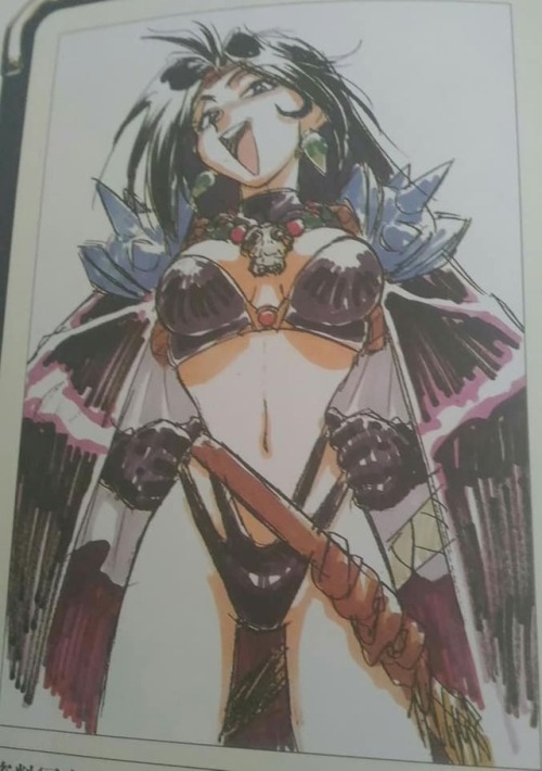 faline-cat444:Some of the first pages in Slayers DX are color...