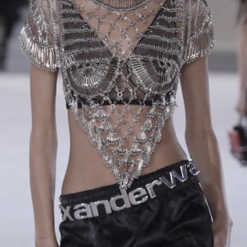 coutureicons:alexander wang collection 1