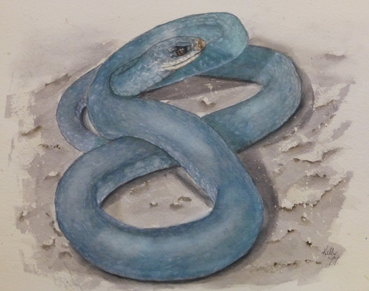 Морда змеи живопись круглое