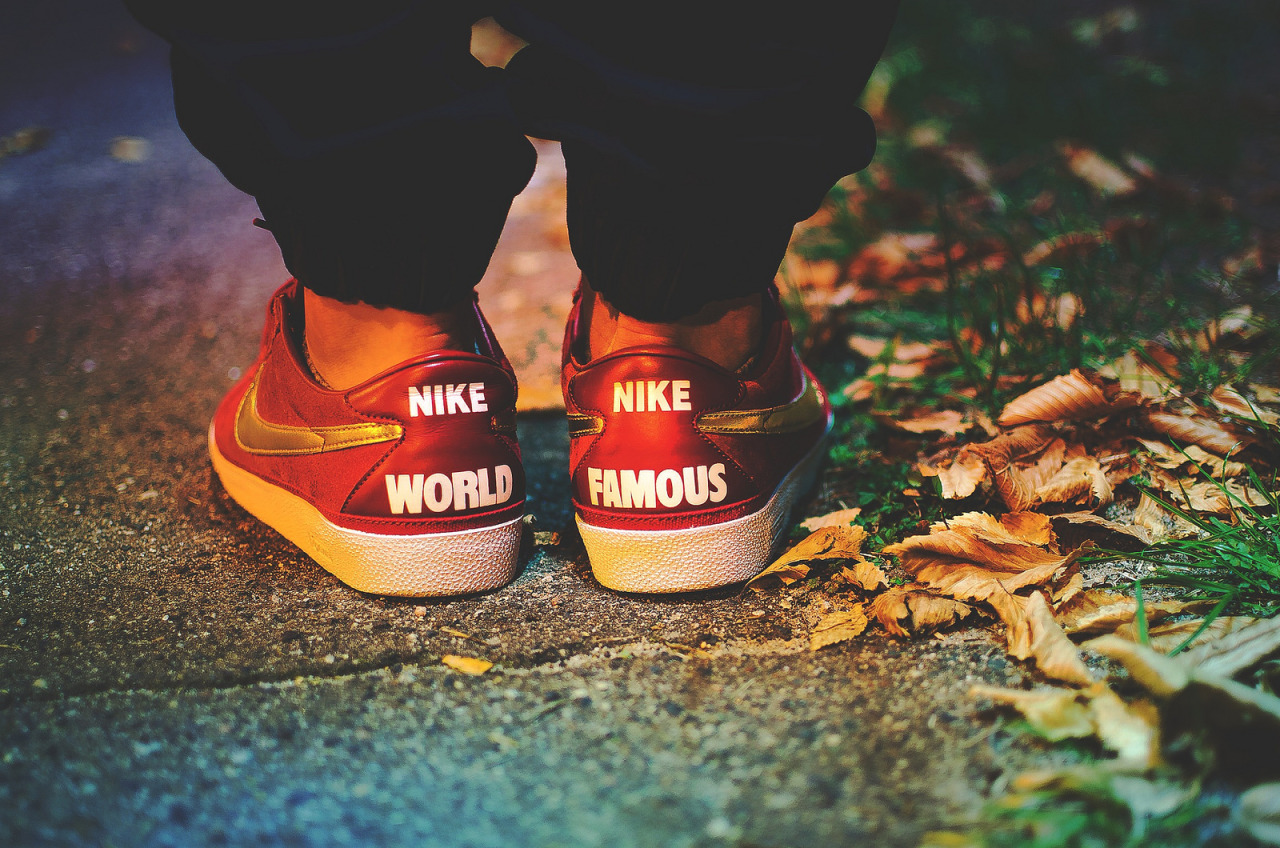 nike zoom bruin sb supreme